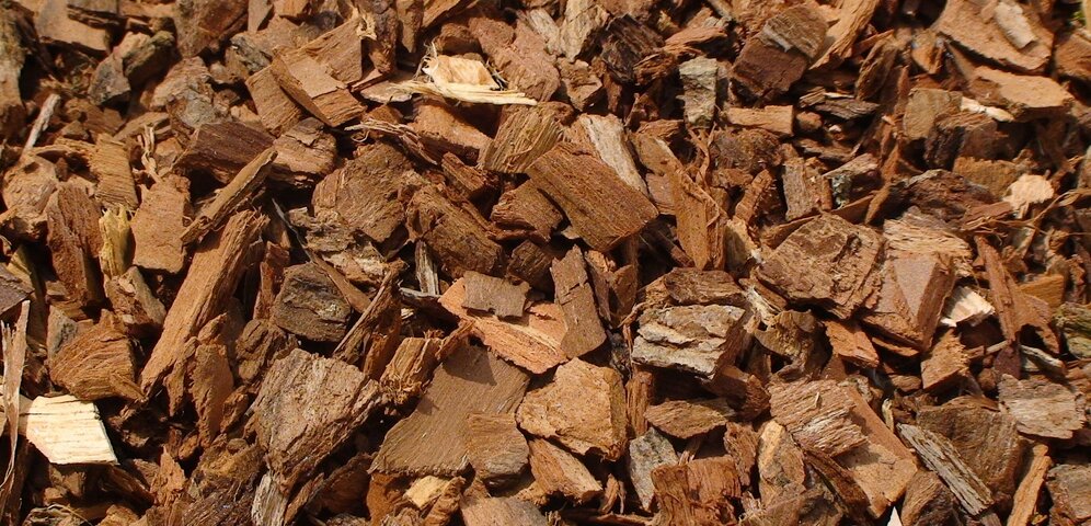 White Willow Bark - Kůra bílé vrby