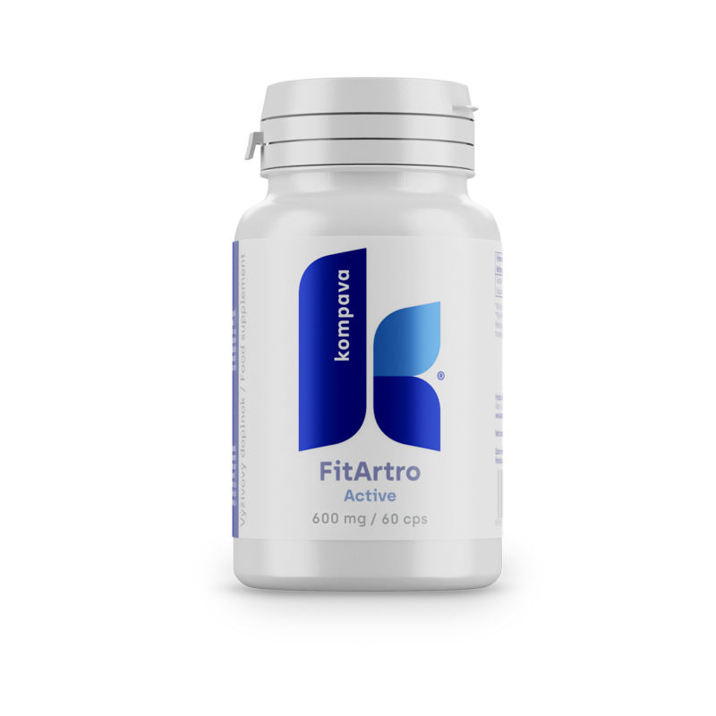 Kompava Fit Artro Aktiv 600 mg/60 kps